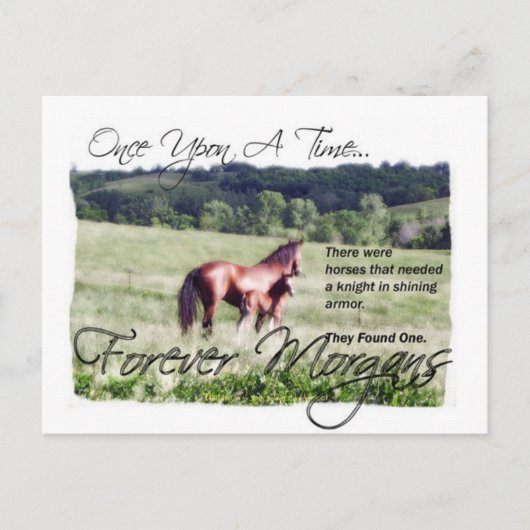 Carte Postale Forever Morgans Fairytale Morgan Mare et Foal (Devant)