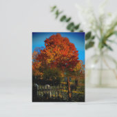 Carte postale Forever Red (Debout devant)