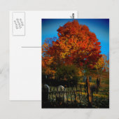 Carte postale Forever Red (Devant / Derrière)