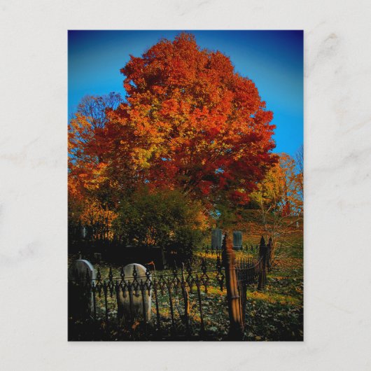 Carte postale Forever Red (Devant)