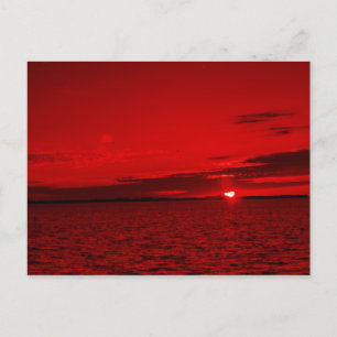 Carte Postale Forever Scarlet