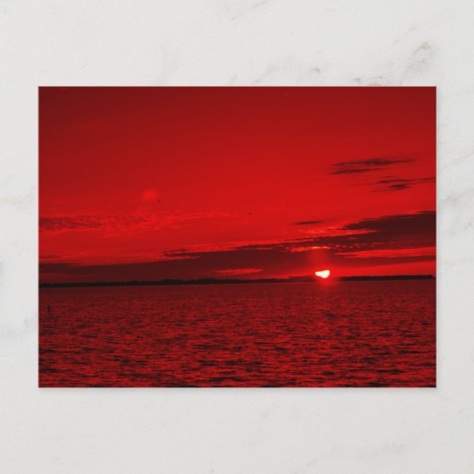 Carte Postale Forever Scarlet (Devant)