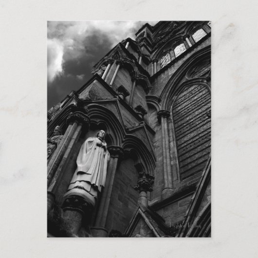 Carte postale Forever Watching (Devant)