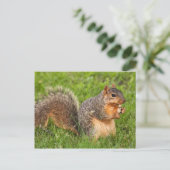Carte Postale Forfait Peel Open (Debout devant)