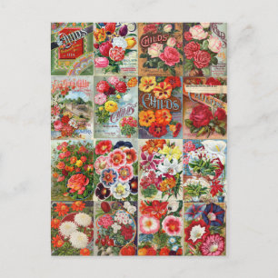 Carte Postale Forfaits vintages de graines de fleurs Collage de 