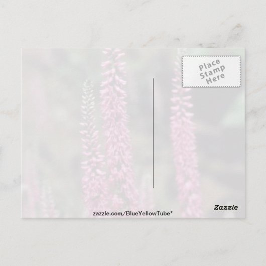 Carte Postale Forma rose, (Veronica Longifolia) (Dos)