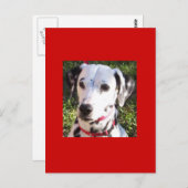 Carte Postale formation (Devant / Derrière)