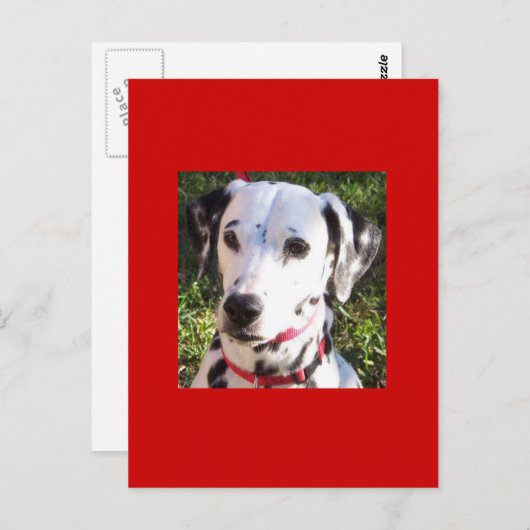 Carte Postale formation (Devant / Derrière)