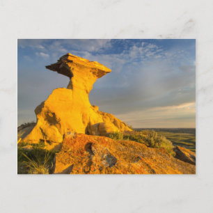 Carte Postale Formation de Badlands sculptés dans l'herbe courte