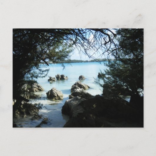 Carte Postale Formation rocheuse à Grotto Bay (Devant)