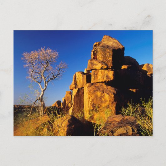 Carte Postale Formation rocheuse et arbre, terrain de jeu de géa (Devant)