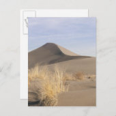 Carte Postale Formations de dunes de sable. Bruneau Dunes State  (Devant / Derrière)