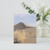Carte Postale Formations de dunes de sable. Bruneau Dunes State  (Debout devant)