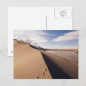 Carte Postale Formations de dunes de sable. Parc d'État des dune (Devant / Derrière)