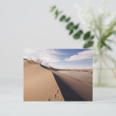 Carte Postale Formations de dunes de sable. Parc d'État des dune (Debout devant)