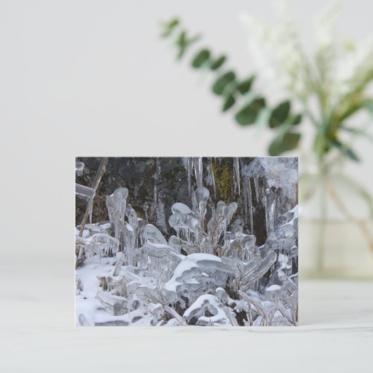 Carte Postale Formations de glace, île Unalaska (Debout devant)