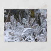 Carte Postale Formations de glace, île Unalaska (Devant)