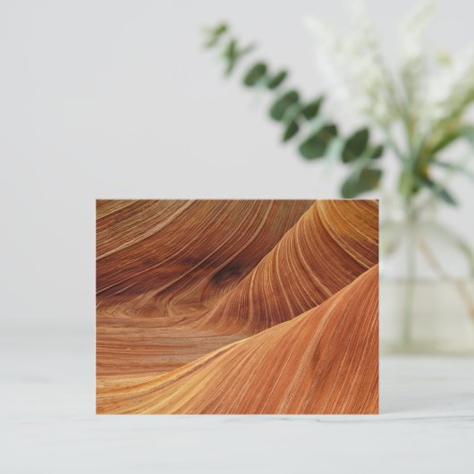 Carte Postale Formations de grès (Debout devant)