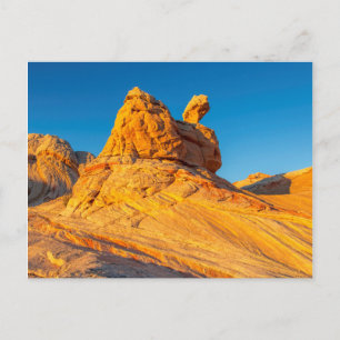 Carte Postale Formations de grès à White Pocket 3