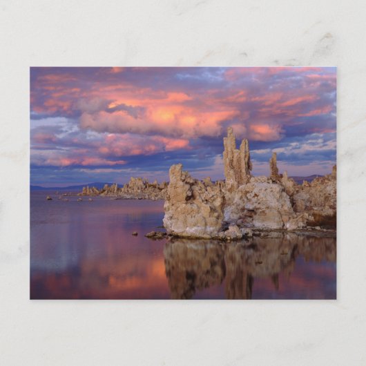 Carte Postale Formations de Tufa sur le lac Mono (Devant)
