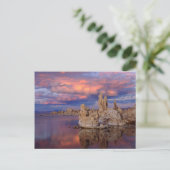 Carte Postale Formations de Tufa sur le lac Mono (Debout devant)