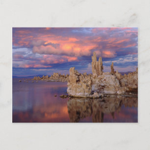 Carte Postale Formations de Tufa sur le lac Mono