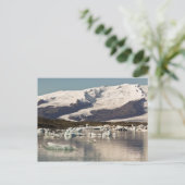 Carte Postale Formations d'icebergs (Debout devant)