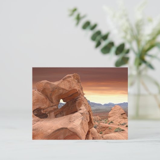 Carte Postale Formations rocheuses, parc d'État Valley of Fire,  (Debout devant)