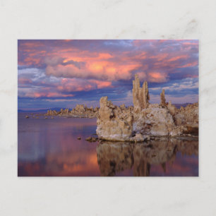 Carte Postale Formations Tufa sur le lac Mono