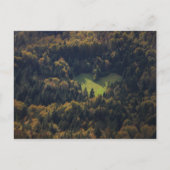 Carte Postale Forme cardiaque dans une forêt en Slovénie (Devant)