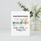 Carte Postale Formule de photosynthèse (chimique) (Debout devant)