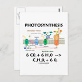 Carte Postale Formule de photosynthèse (chimique) (Devant / Derrière)