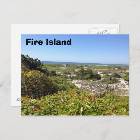 Carte Postale Forrest, Fire Island, NY (Devant / Derrière)