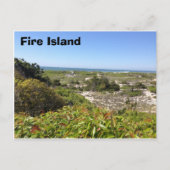 Carte Postale Forrest, Fire Island, NY (Devant)