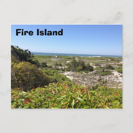 Carte Postale Forrest, Fire Island, NY (Devant)