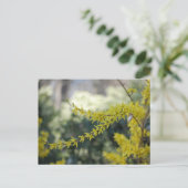 Carte postale Forsythia Jaune (Debout devant)