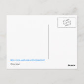 Carte Postale Fort Marion National Monument St Augustine Floride (Dos)