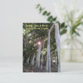 Carte postale Fort Myers Florida (Debout devant)