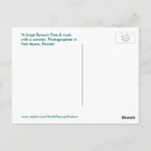 Carte postale Fort Myers Florida (Dos)