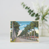 Carte Postale Fort Myers, Floride, boulevard MacGregor (Debout devant)