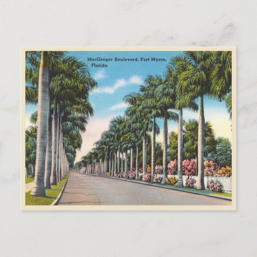 Carte Postale Fort Myers, Floride, boulevard MacGregor (Devant)