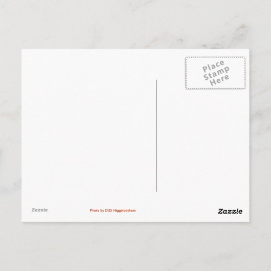 Carte Postale Fort Worth Texas (Dos)