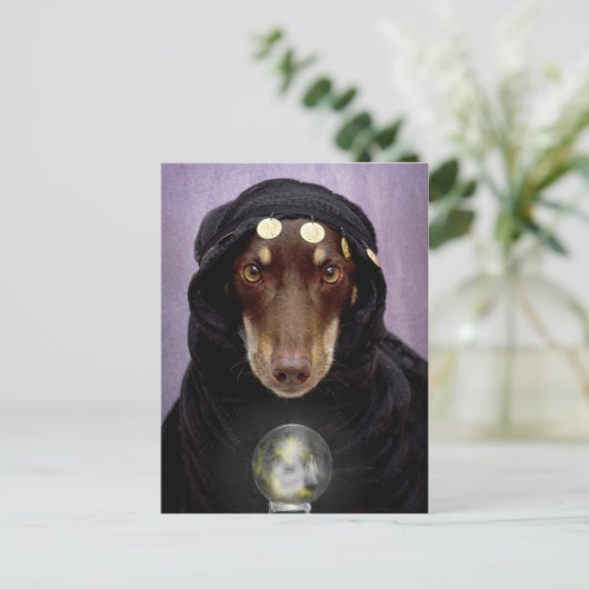 Carte Postale Fortune Teller (Debout devant)