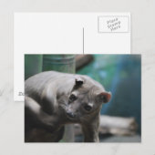 Carte postale Fossa (Devant / Derrière)