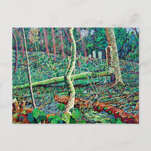 Carte Postale Fossé 2 d'arc (Devant)