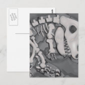 Carte Postale Fossile de dinosaure (Devant / Derrière)