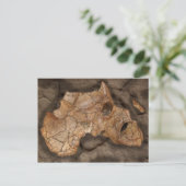 Carte Postale fossile de dinosaure africain (Debout devant)