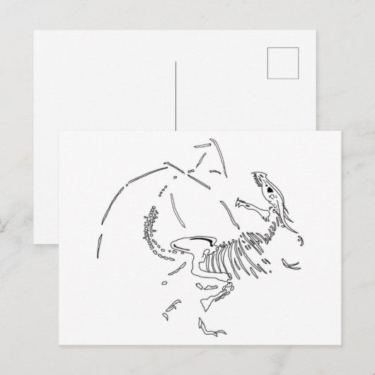 Carte Postale Fossiles dragons (Devant / Derrière)