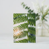 Carte Postale fougère (Debout devant)