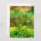 Carte Postale Fougère en crozier, Parc national Olympique (Devant / Derrière)